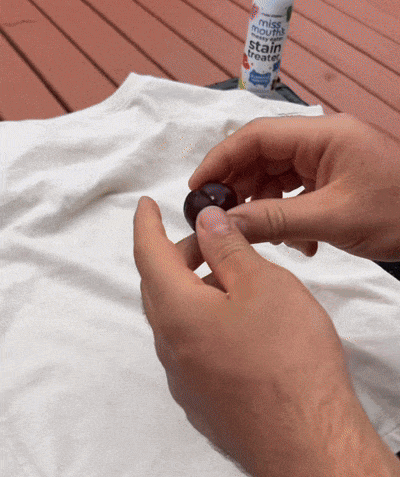 Spray Quitamanchas Instantaneo